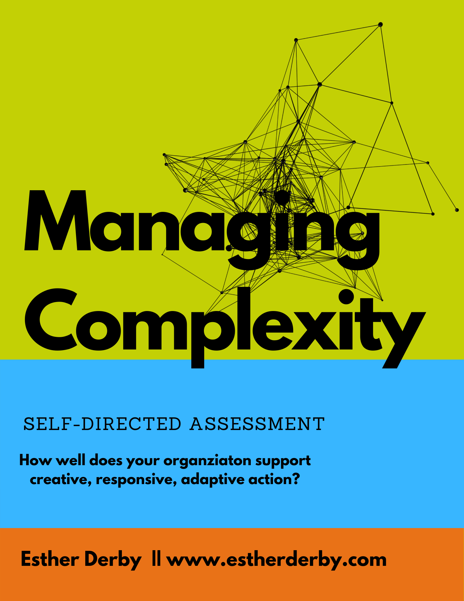 Managing Complexity Self-Directed Assessment